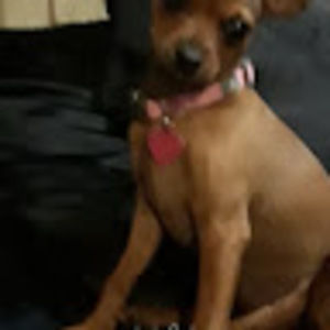 Meet your Posher, Debbie